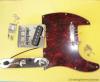 CHROME FENDER TELECASTER STYLE PICKUPS PICKGUARD SWITCH PLATE JACK